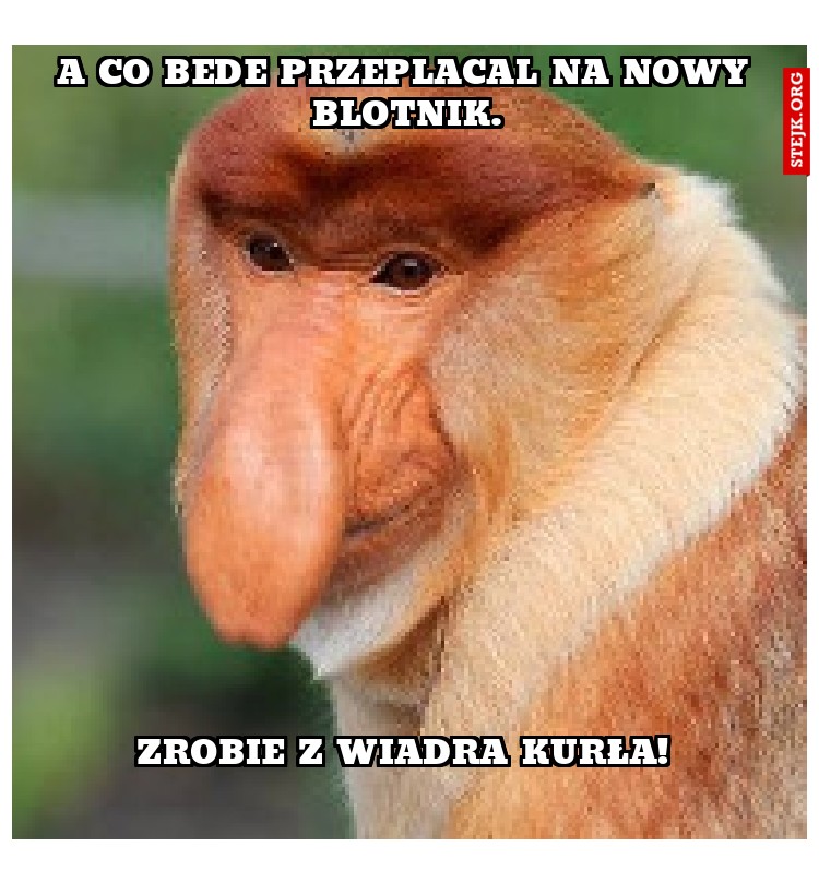 A co bede przeplacal na nowy blotnik.