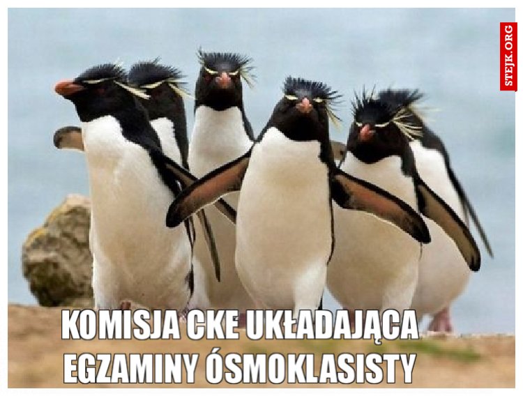 Komisja CKE układająca egzaminy ósmoklasisty