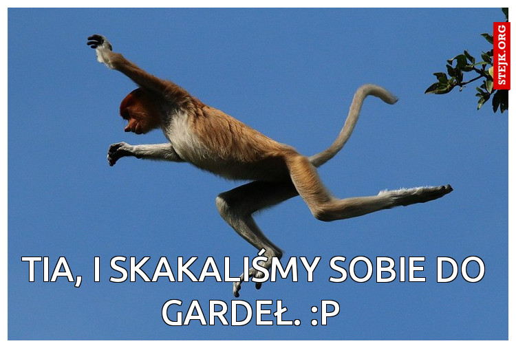 Tia, i skakaliśmy sobie do gardeł. :P 