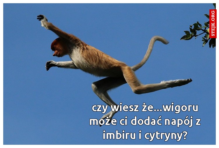 czy wiesz że...wigoru może ci dodać napój z imbiru i cytryny?