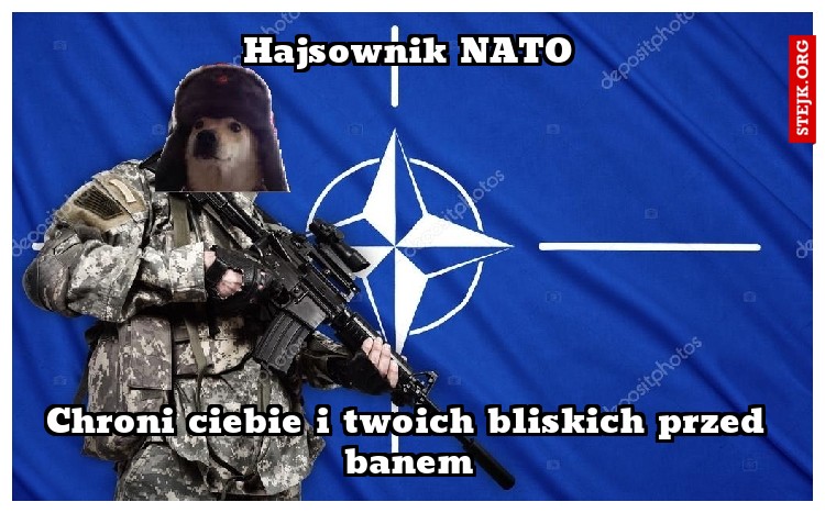 Hajsownik NATO