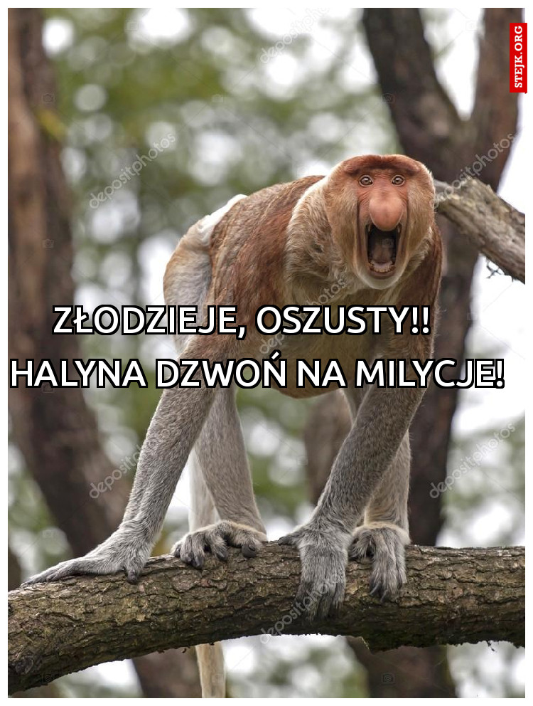 Złodzieje, Oszusty!! 