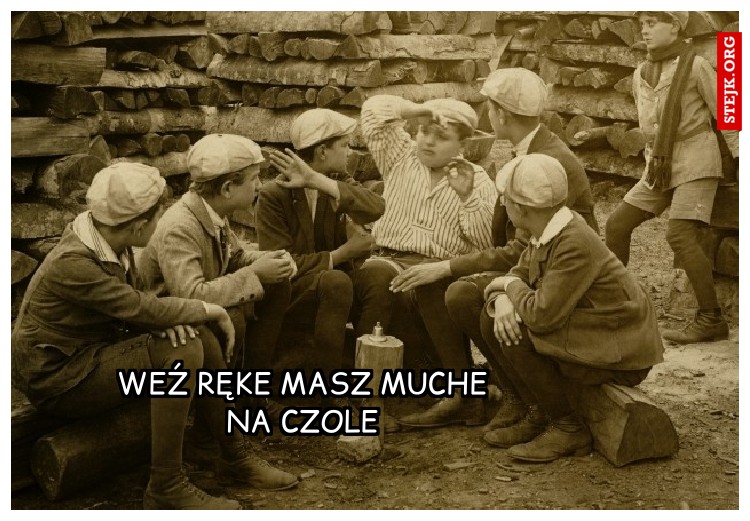 Weź ręke masz muche na czole