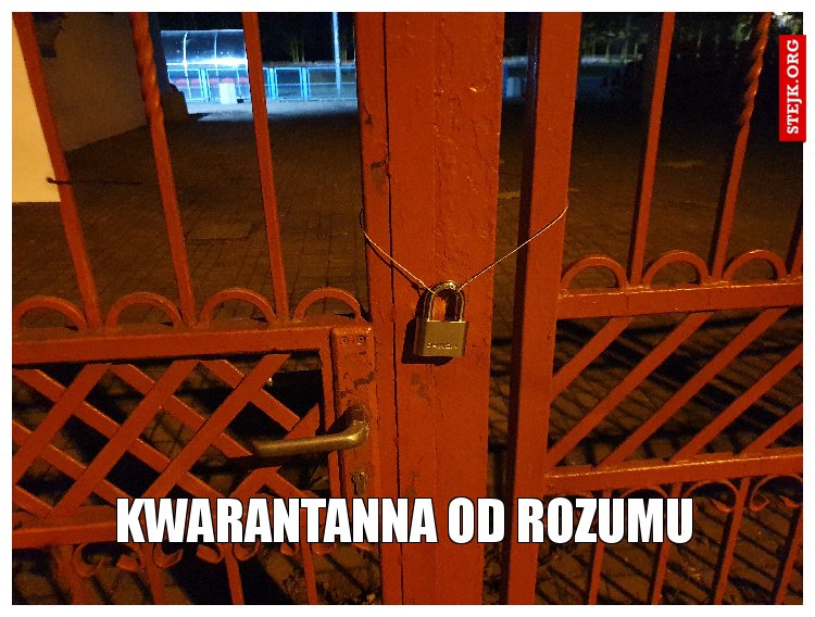 Kwarantanna od rozumu