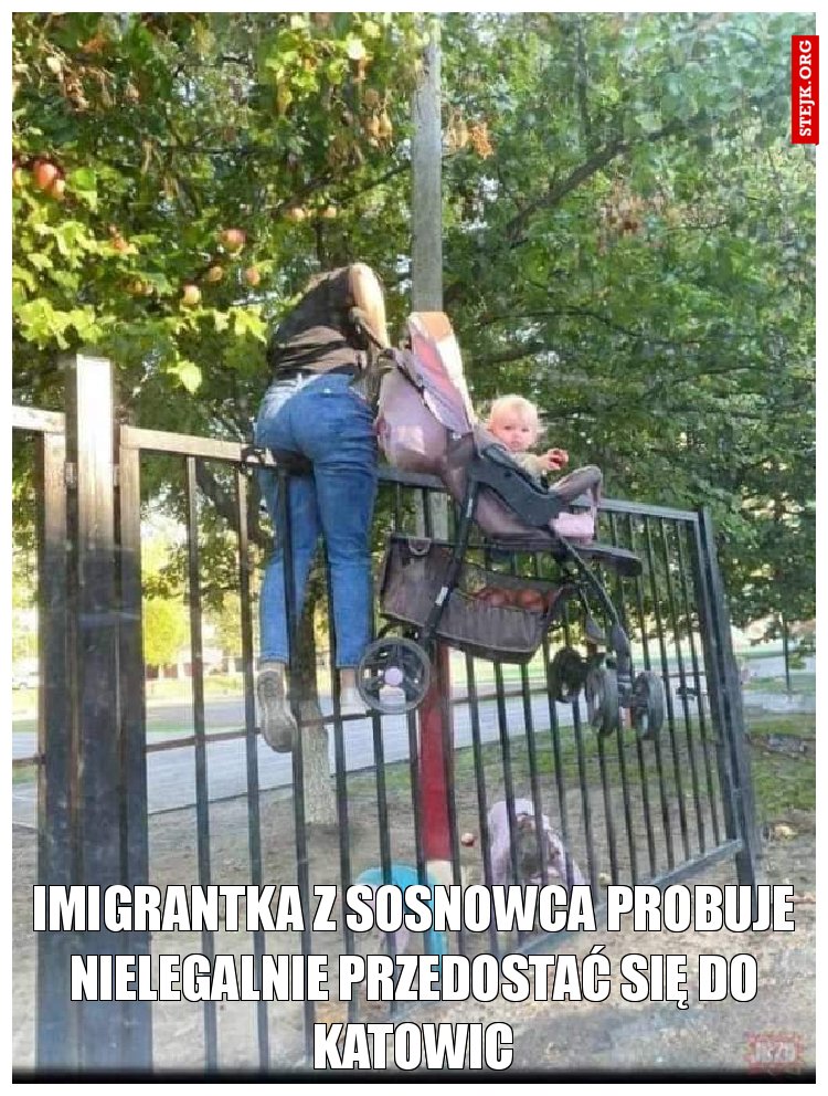 Imigrantka z Sosnowca próbuje nielegalnie przedostać się do Katowic