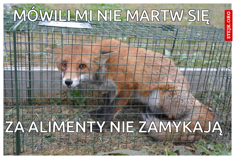 Mówili mi nie martw sie