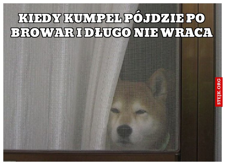 Kiedy kumpel pójdzie po browar i długo nie wraca