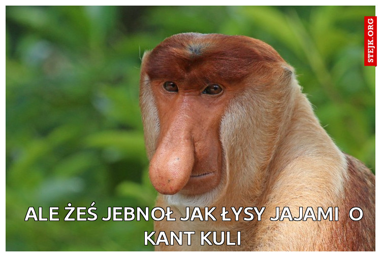 ale żeś Jebnoł jak łysy jajami  o kant kuli 