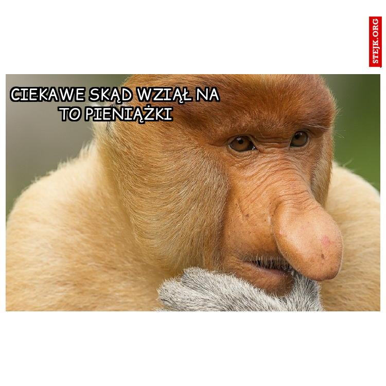 Ciekawe skąd wziął na to pieniążki