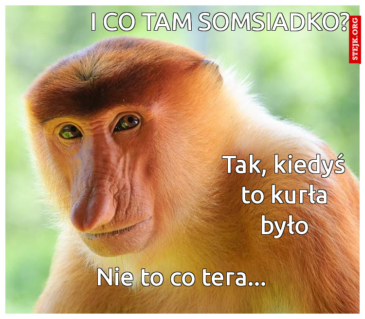 I co tam somsiadko?