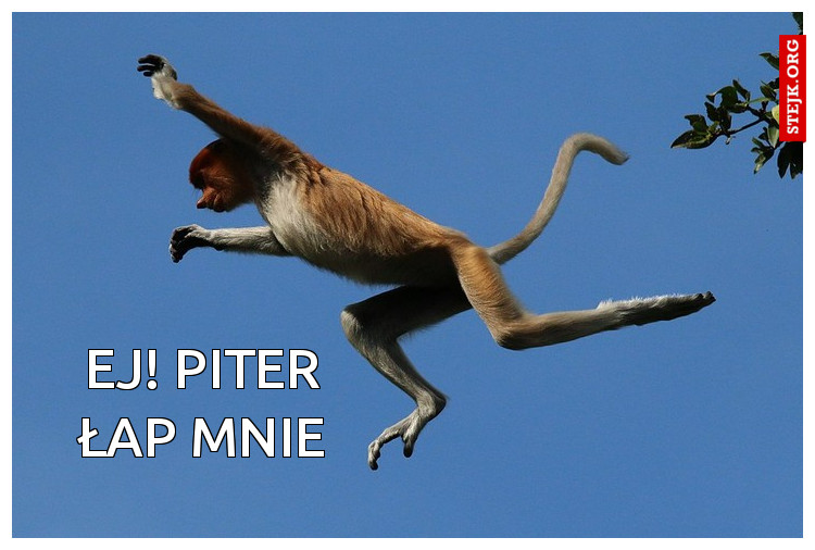 Ej! Piter łap mnie