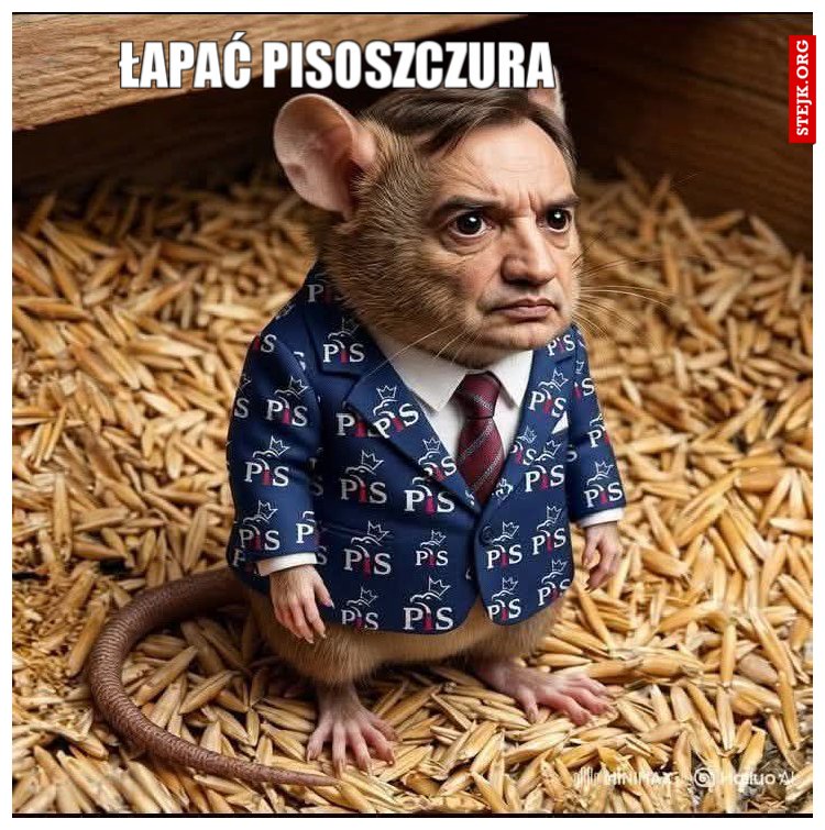 łapać pisoszczura