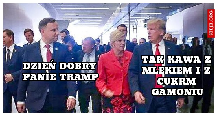 Dzień dobry panie Tramp