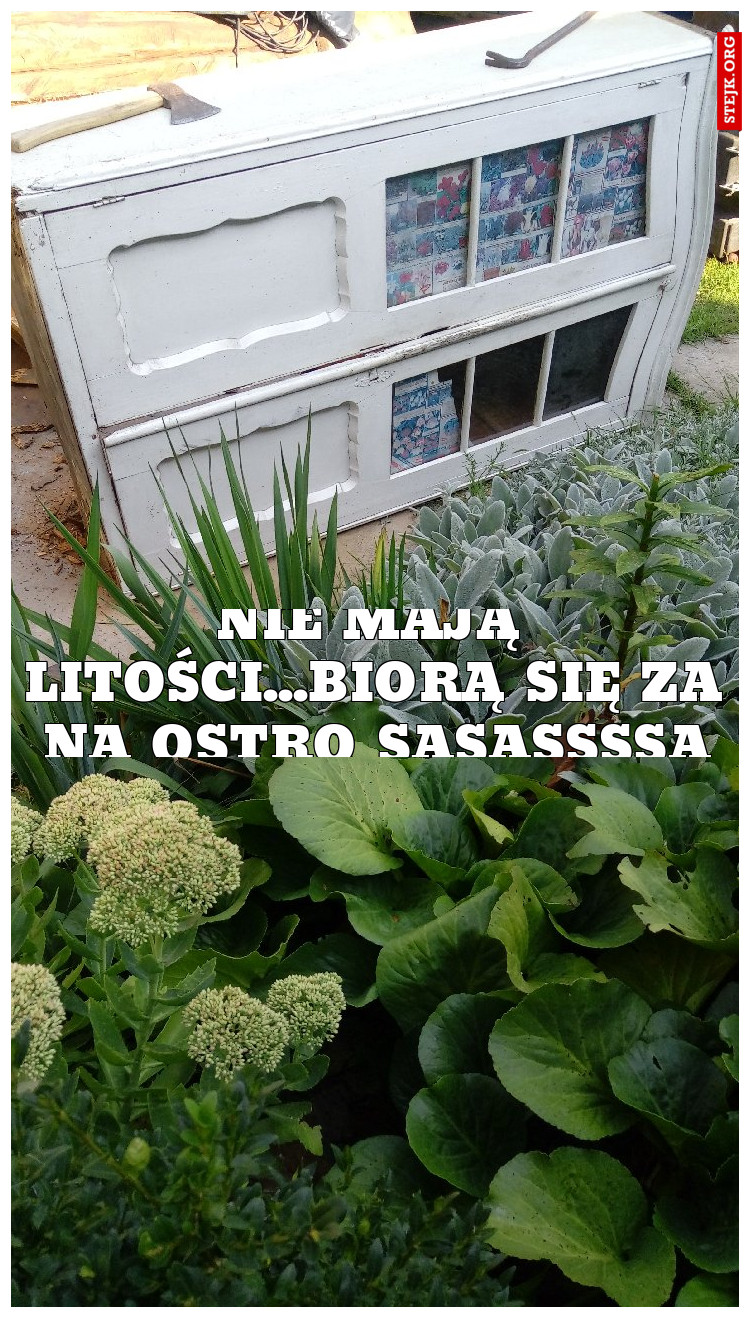 Nie mają litości ... zabierają się do mnie na ostro sasasssa