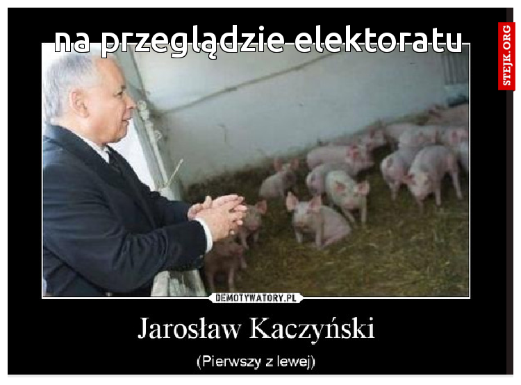 na przeglądzie elektoratu
