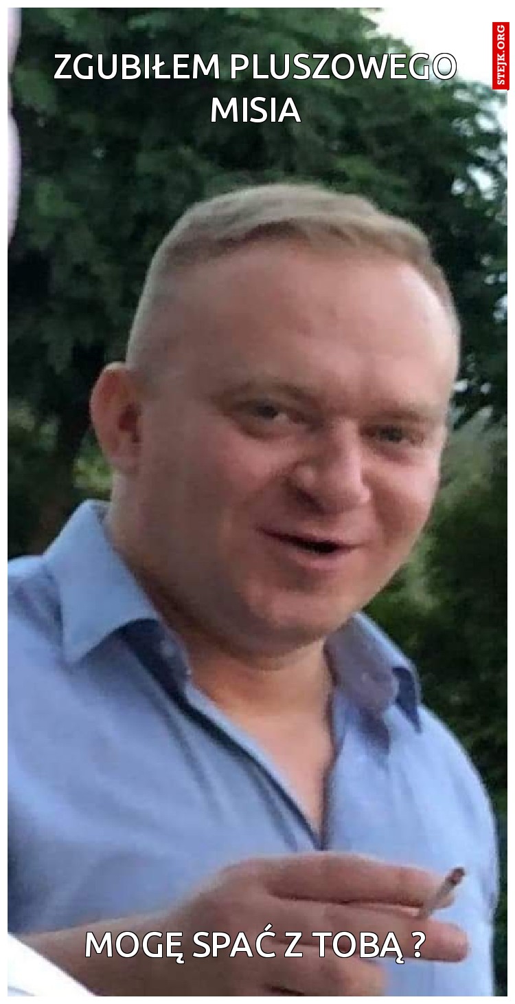Zgubiłem pluszowego misia