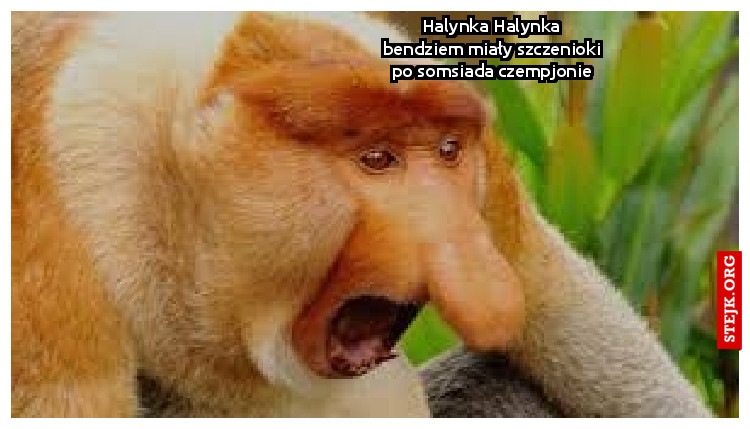 Halynka Halynka bendziem miały szczenioki po somsiada czempjonie