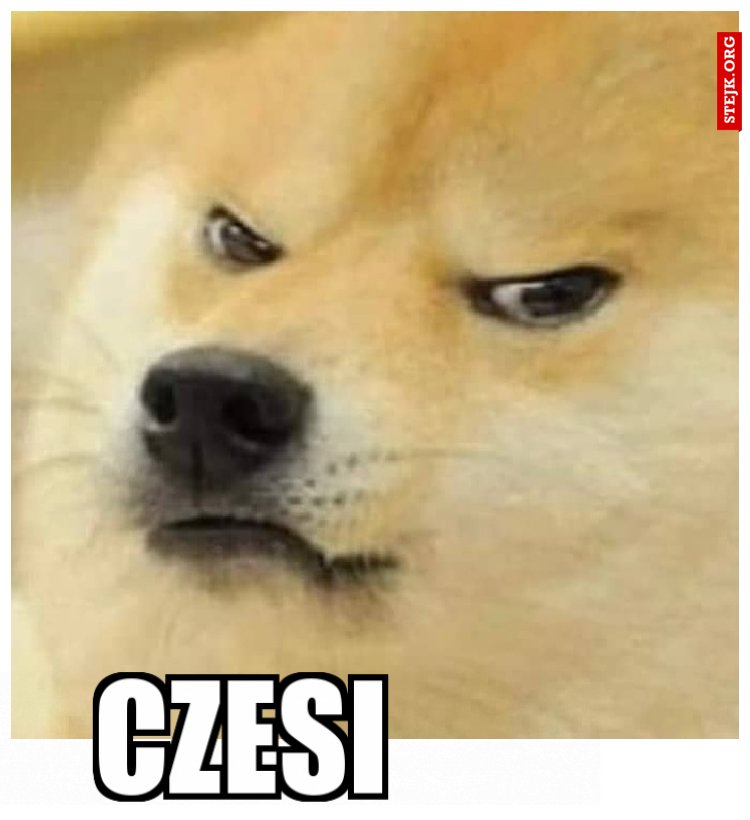 czesi