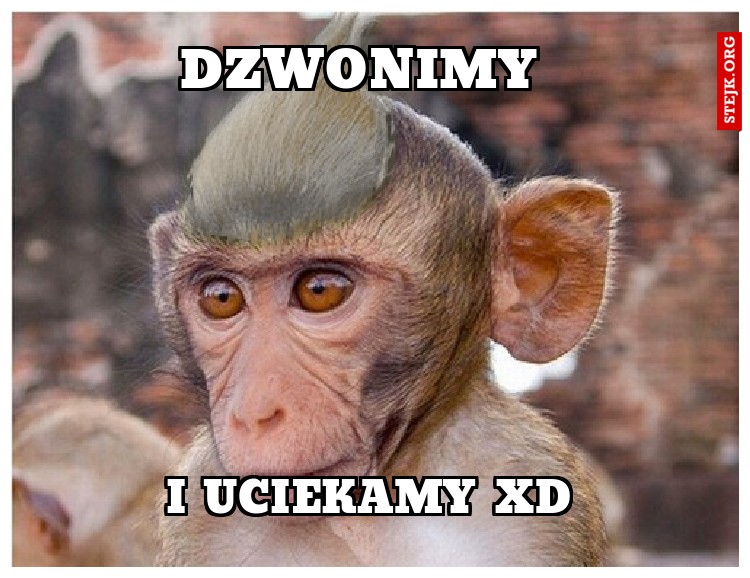 DZWONIMY