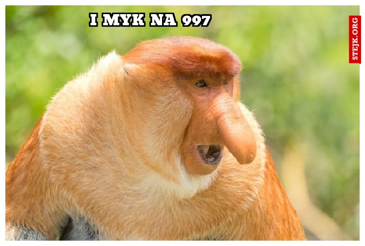 i myk na 997