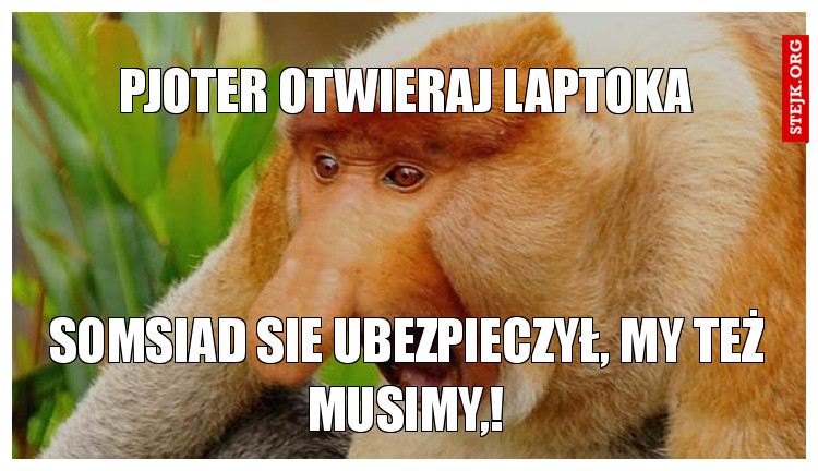 pjoter otwieraj laptoka