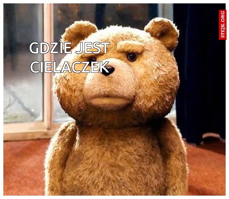 gdzie jest cielaczek