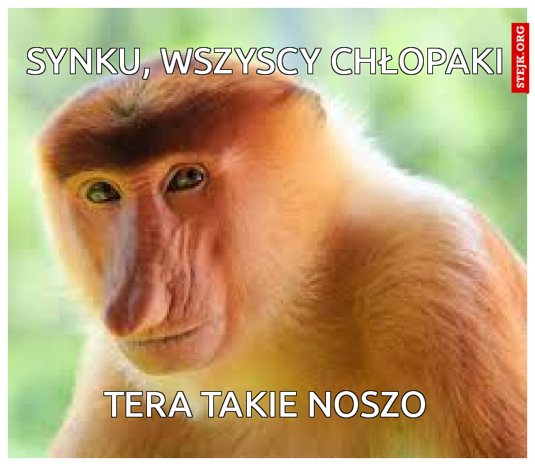 SYNKU, WSZYSCY CHŁOPAKI