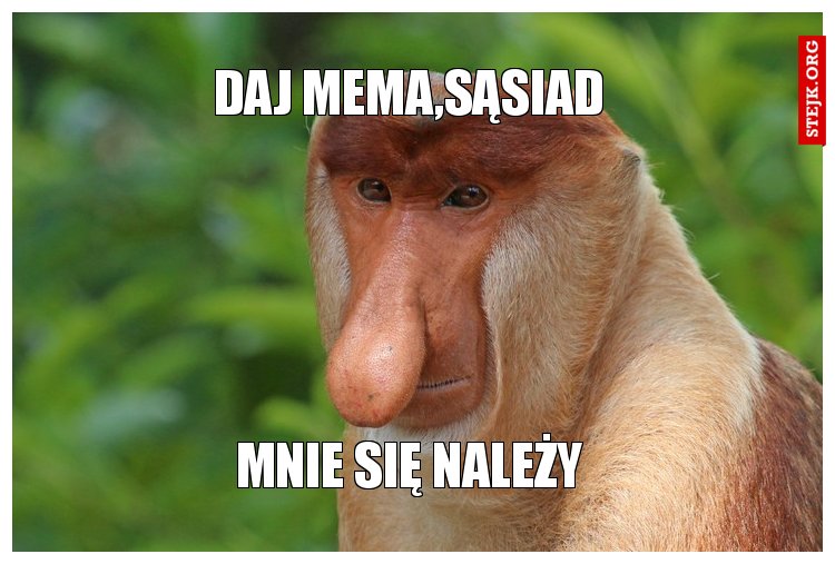 daj mema,sąsiad 