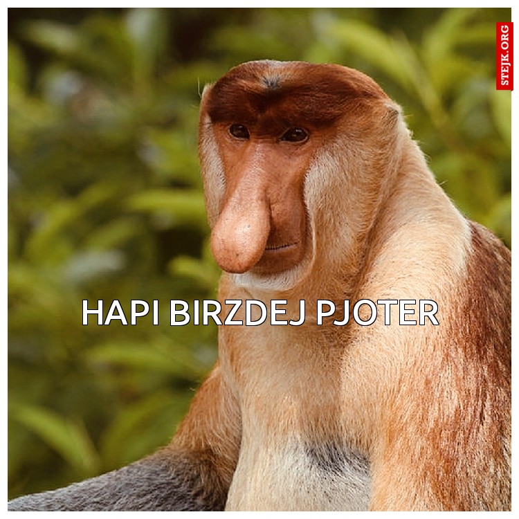 Hapi birzdej Pjoter