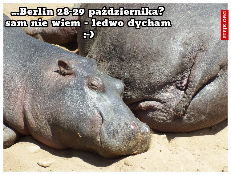 ...Berlin 28-29 października? sam nie wiem - ledwo dycham :-)