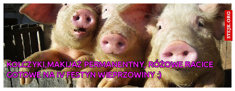 KOLCZYKI,MAKIJAŻ PERMANENTNY, RÓŻOWE RACICE GOTOWE NA IV FESTYN WIEPRZOWINY :)