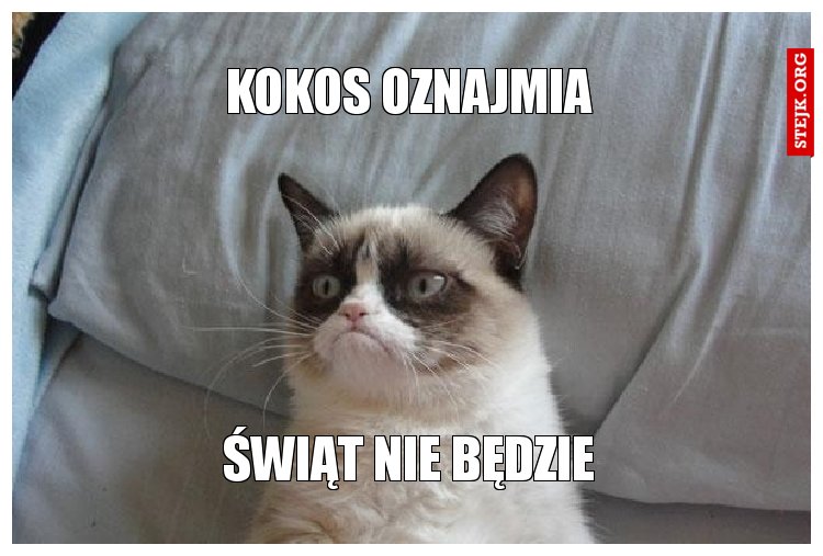 Kokos oznajmia