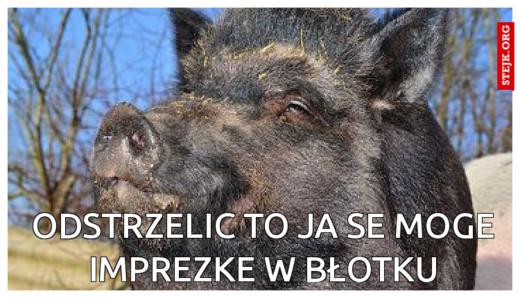 ODSTRZELIĆ To Ja SE MoGE imprezke w błotku