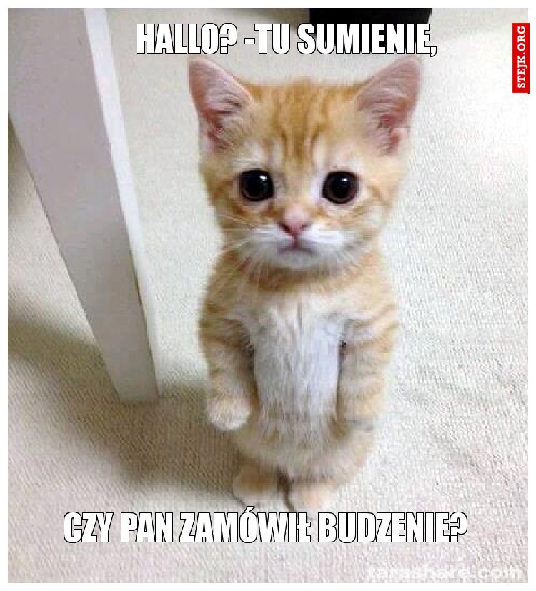 Hallo? -tu sumienie,