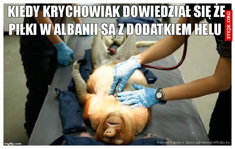 kiedy krychowiak dowiedział się że piłki w albanii są z dodatkiem helu 