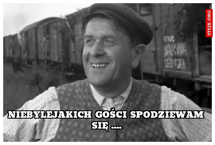 Niebylejakich gości spodziewam się ....
