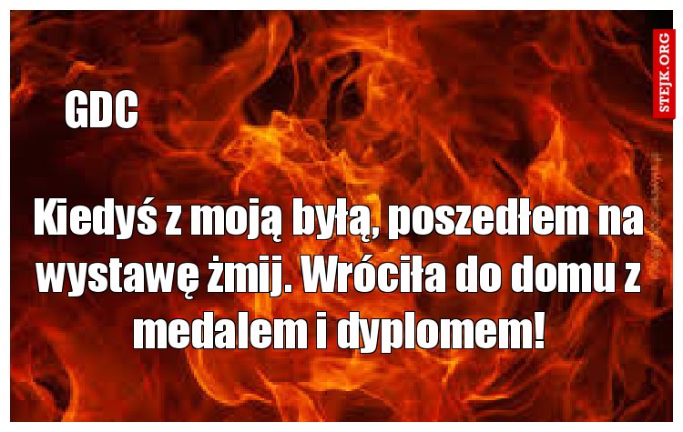 Kiedyś z moją byłą, poszedłem na wystawę żmij. Wróciła do domu z medalem i dyplomem!