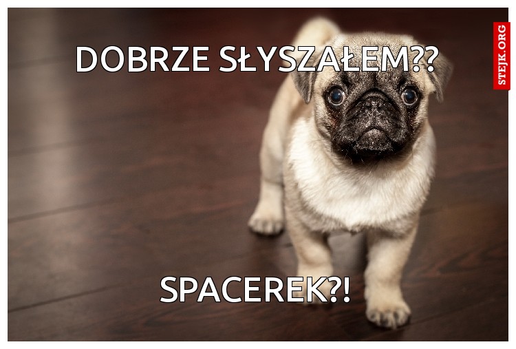 Olek