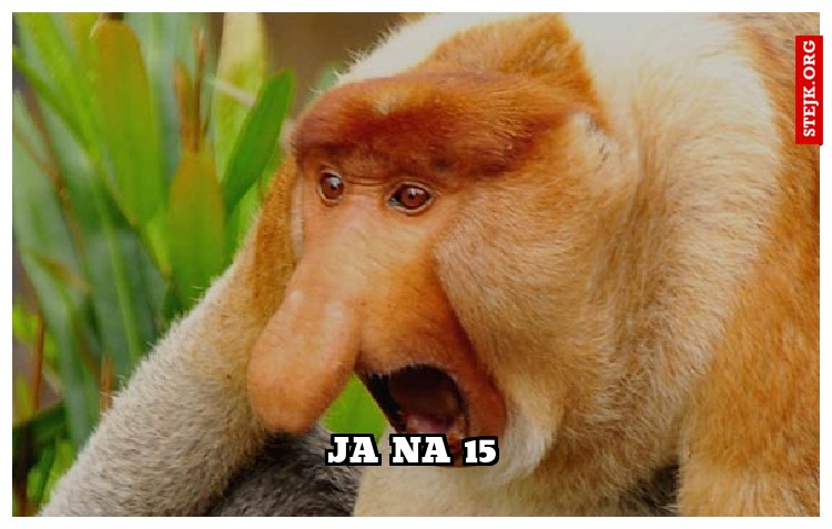 ja na 15
