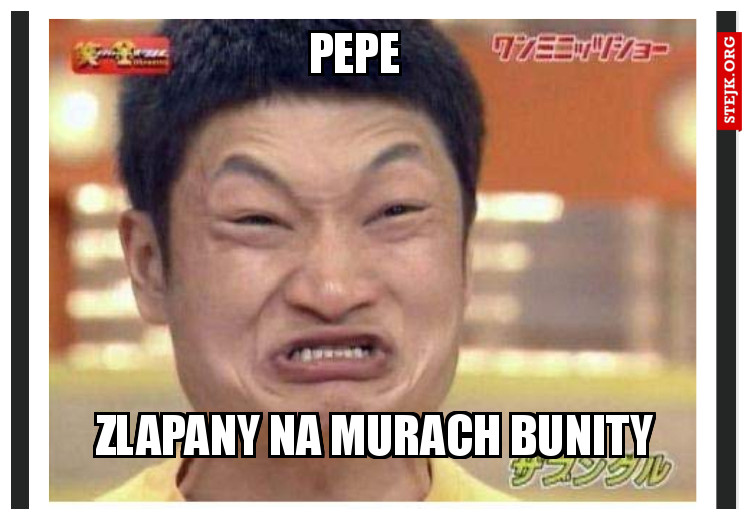 Zlapany na murach Bunity
