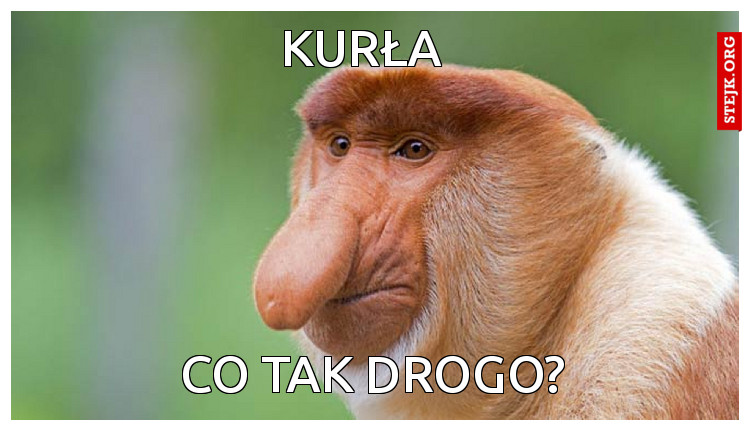 KURŁA