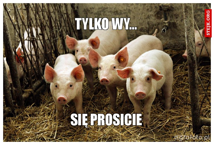 Tylko wy...