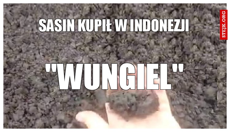 Sasin kupił w Indonezji