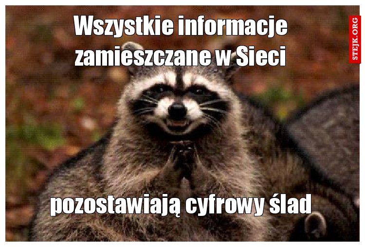 Wszystkie informacje zamieszczane w Sieci