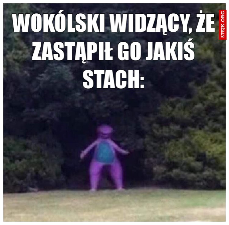 wokólski widzący, że zastąpił go jakiś stach: