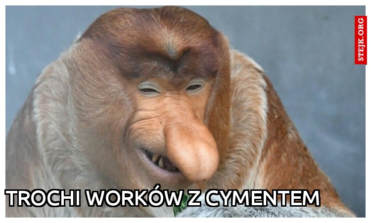Trochi worków z cymentem 