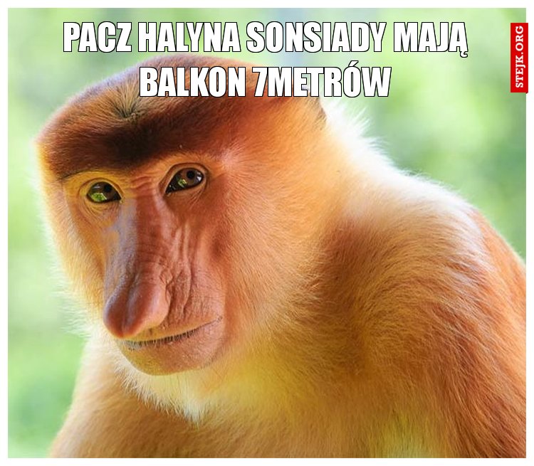 Pacz Halyna sonsiady mają balkon 7metrów