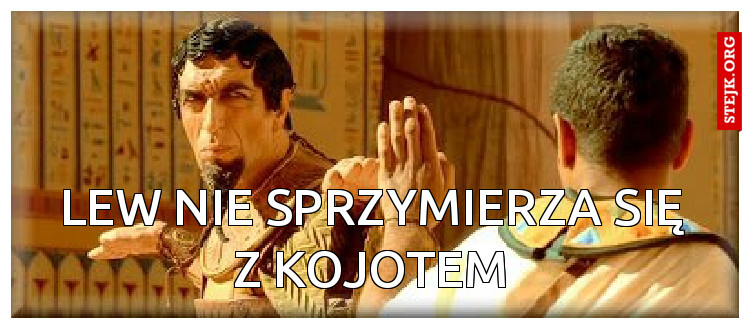 Lew nie sprzymierza się z kojotem