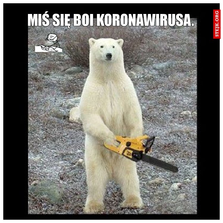 Miś się boi koronawirusa.
