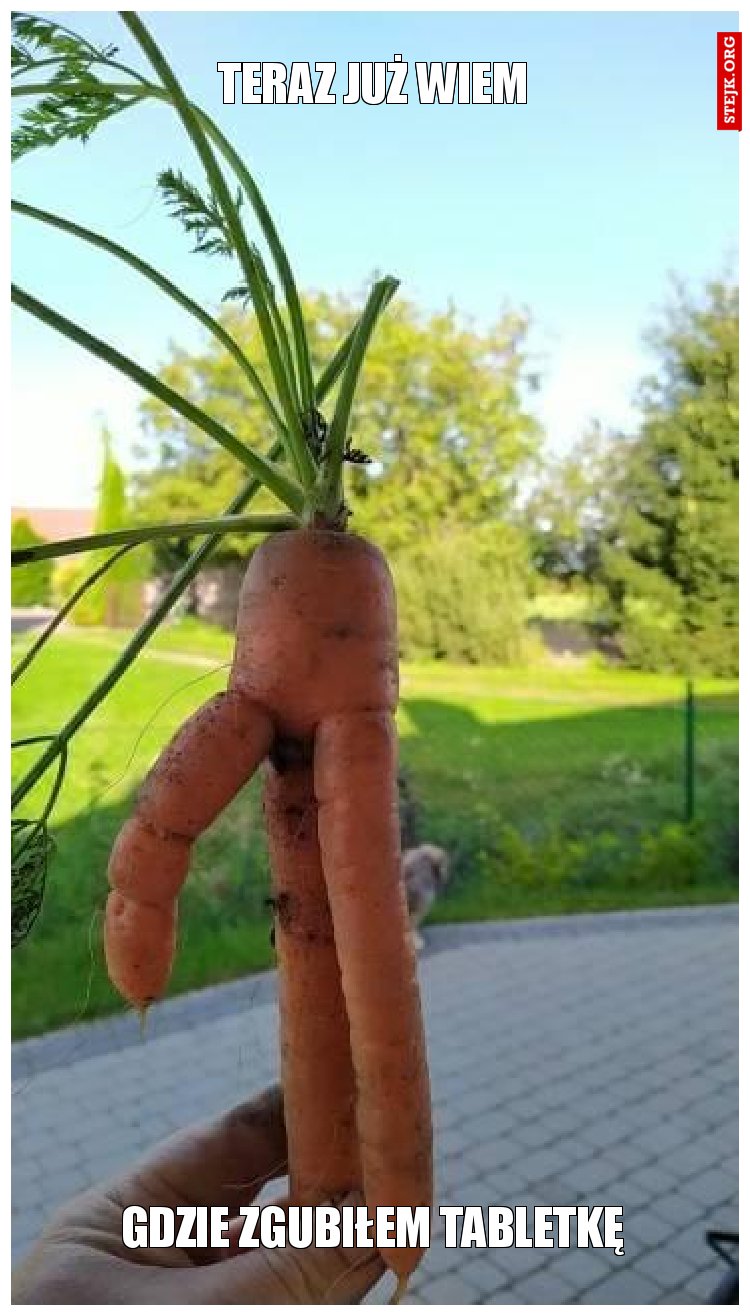 Teraz już wiem